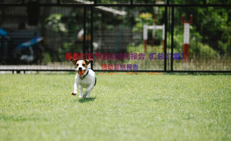 最新年货节活动总结报告（汇总21篇）