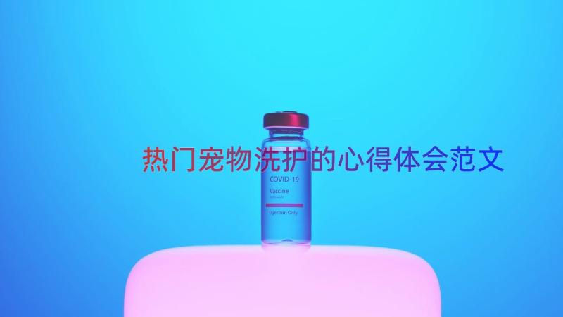 热门宠物洗护的心得体会范文（15篇）