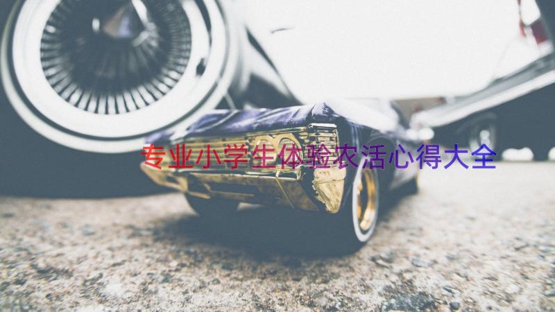 专业小学生体验农活心得大全（19篇）