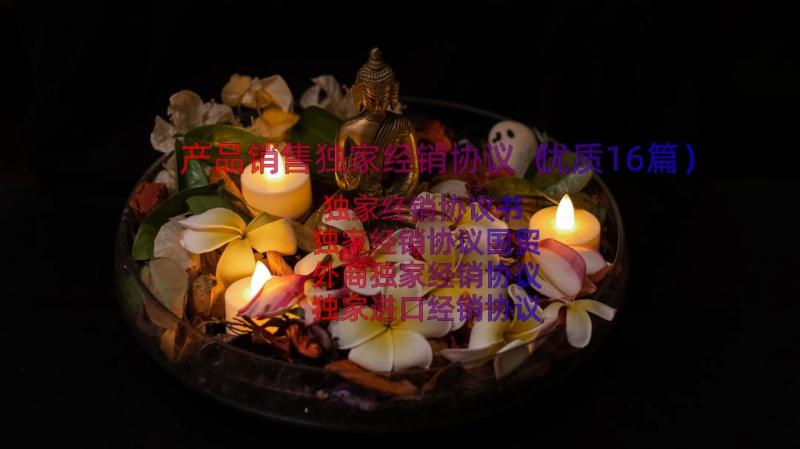 产品销售独家经销协议（优质16篇）