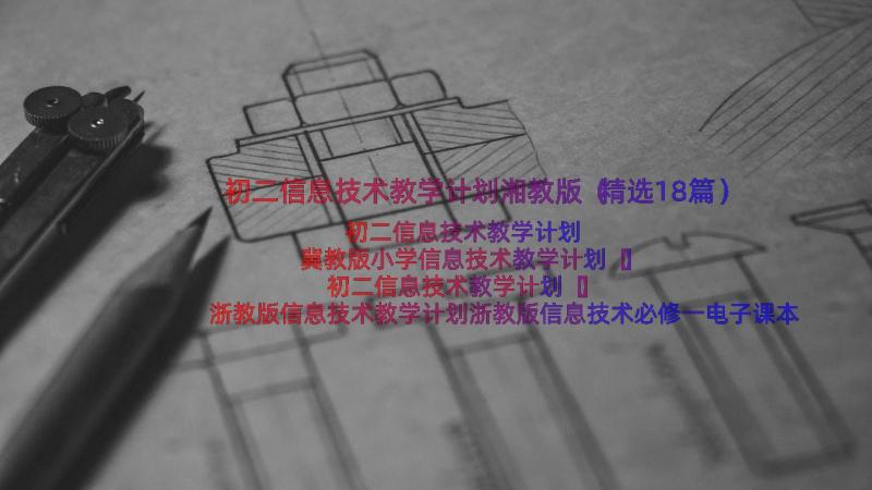 初二信息技术教学计划湘教版（精选18篇）