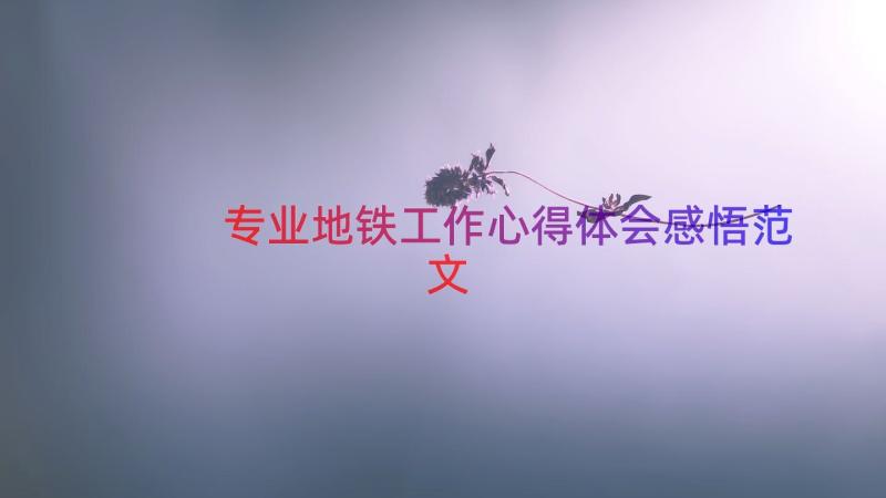 专业地铁工作心得体会感悟范文（13篇）