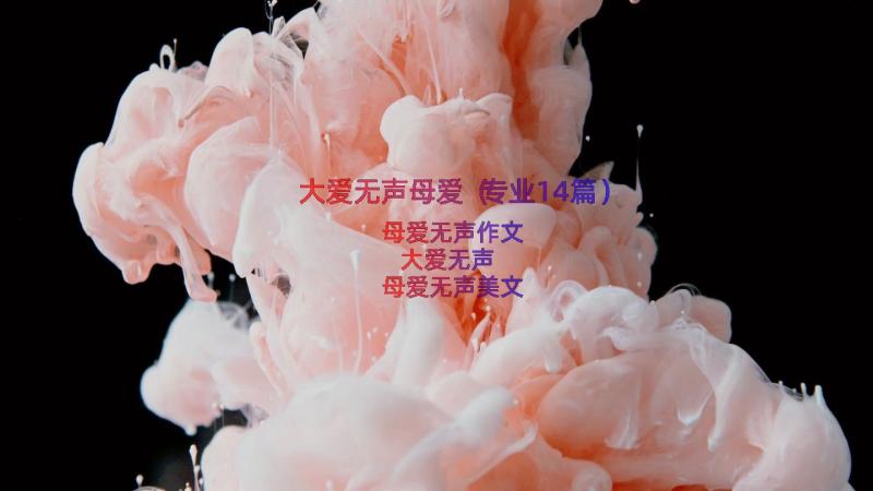 大爱无声母爱（专业14篇）