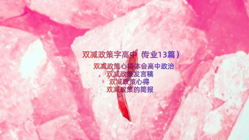 双减政策字高中（专业13篇）