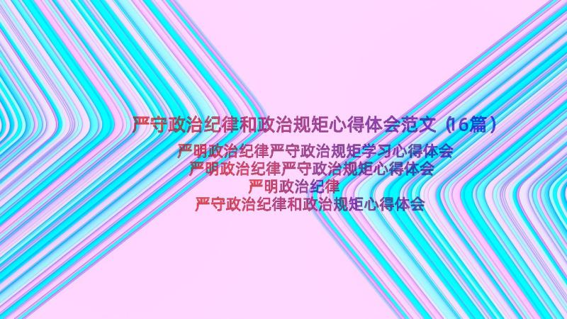 严守政治纪律和政治规矩心得体会范文（16篇）