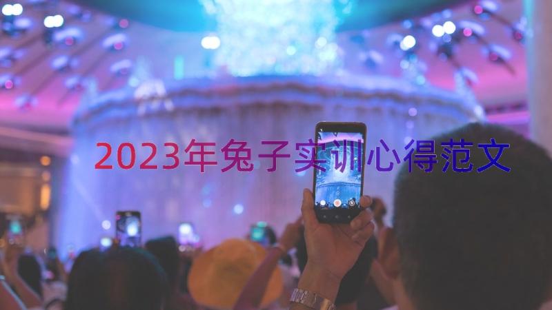 2023年兔子实训心得范文（12篇）