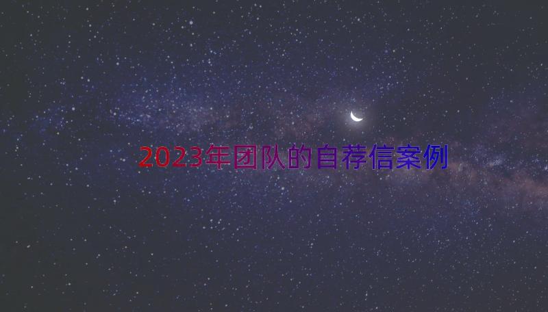 2023年团队的自荐信（案例13篇）