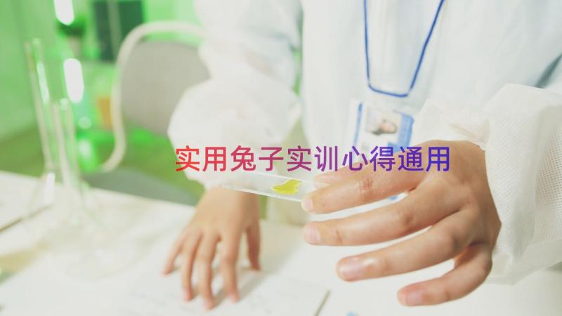 实用兔子实训心得（通用12篇）