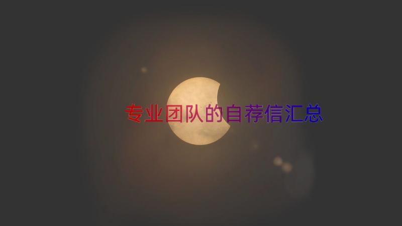 专业团队的自荐信（汇总14篇）