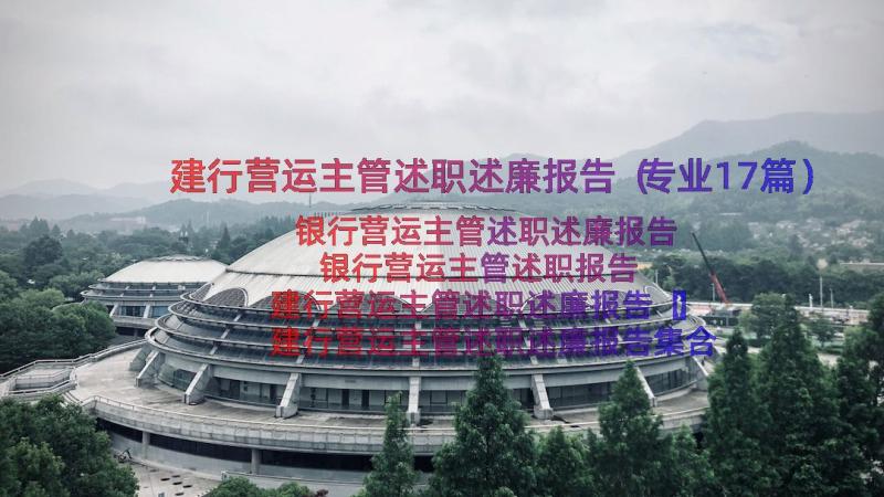 建行营运主管述职述廉报告（专业17篇）