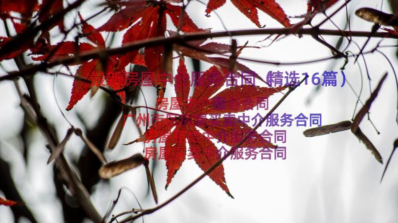 最新房屋中介服务合同（精选16篇）