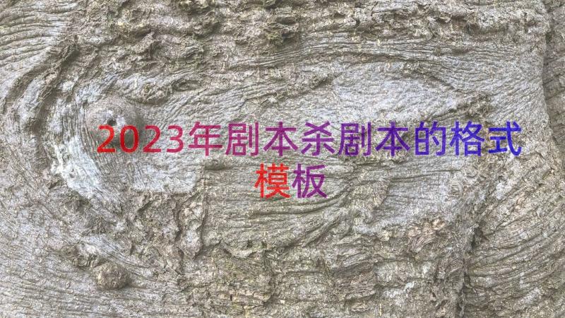 2023年剧本杀剧本的格式（模板16篇）