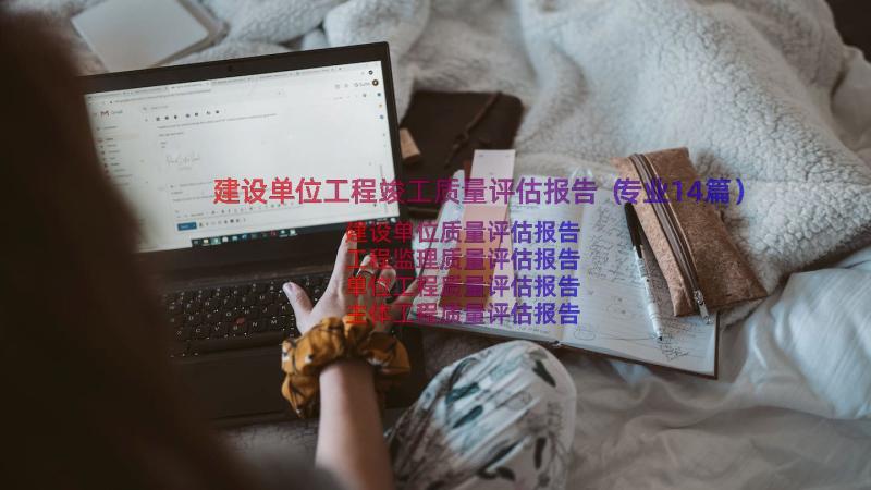 建设单位工程竣工质量评估报告（专业14篇）