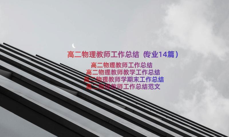 高二物理教师工作总结（专业14篇）