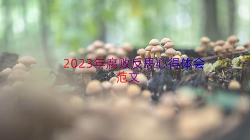 2023年腐败反思心得体会范文（16篇）