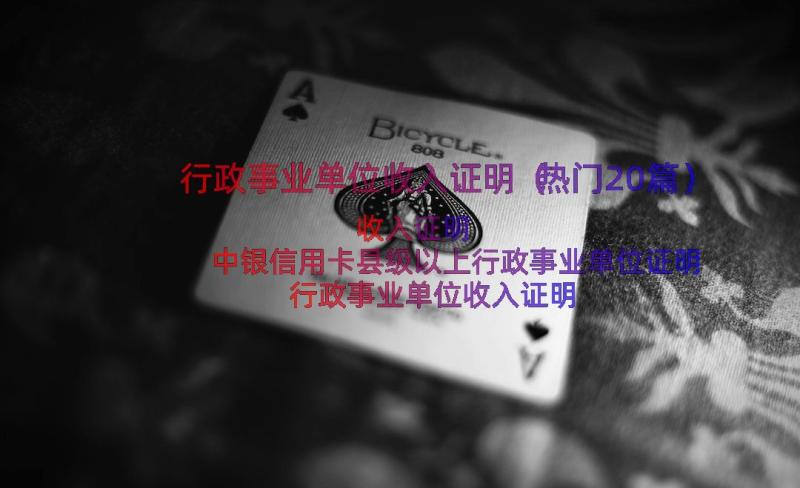 行政事业单位收入证明（热门20篇）