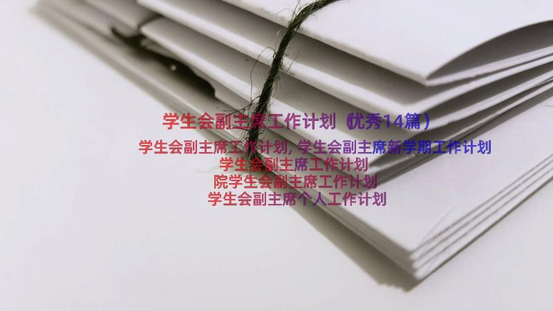 学生会副主席工作计划（优秀14篇）