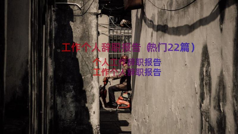 工作个人辞职报告（热门22篇）