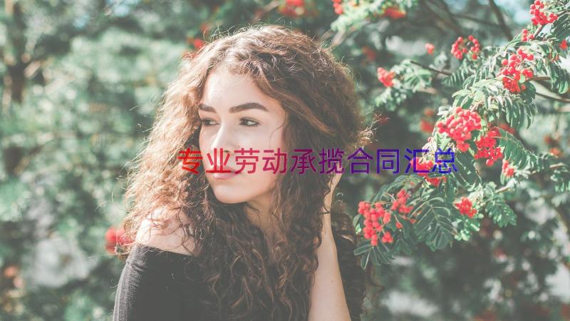 专业劳动承揽合同（汇总19篇）