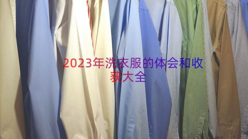 2023年洗衣服的体会和收获大全（12篇）