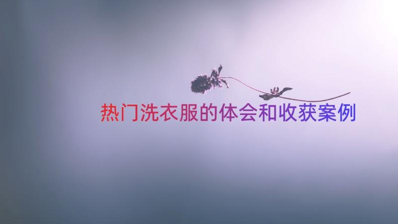 热门洗衣服的体会和收获（案例18篇）