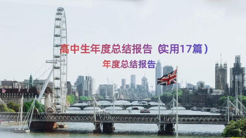 高中生年度总结报告（实用17篇）