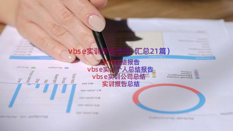 vbse实训报告总结（汇总21篇）