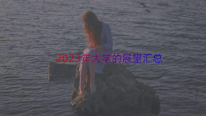 2023年大学的展望（汇总15篇）