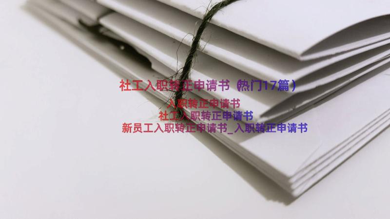 社工入职转正申请书（热门17篇）