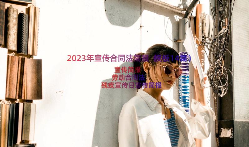 2023年宣传合同法简报（模板14篇）