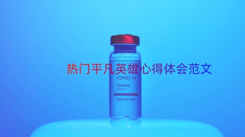 热门平凡英雄心得体会范文（16篇）