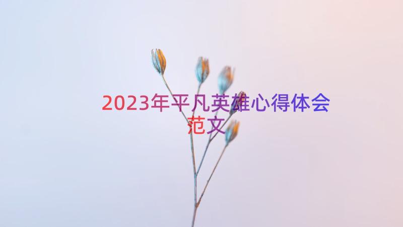 2023年平凡英雄心得体会范文（15篇）