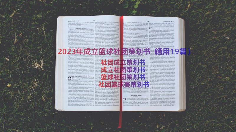 2023年成立篮球社团策划书（通用19篇）