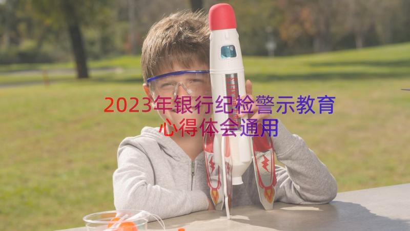 2023年银行纪检警示教育心得体会（通用12篇）