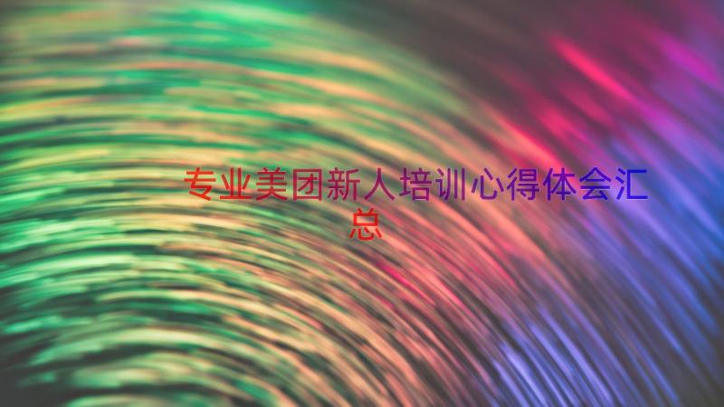 专业美团新人培训心得体会（汇总16篇）