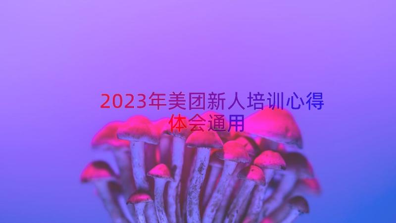 2023年美团新人培训心得体会（通用14篇）