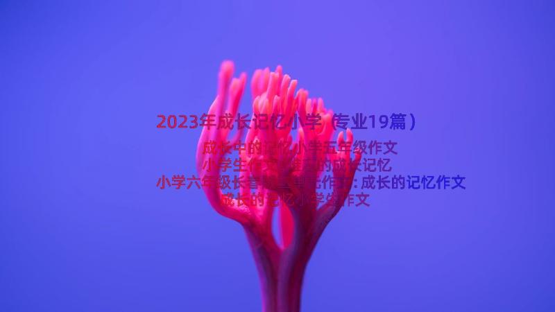 2023年成长记忆小学（专业19篇）