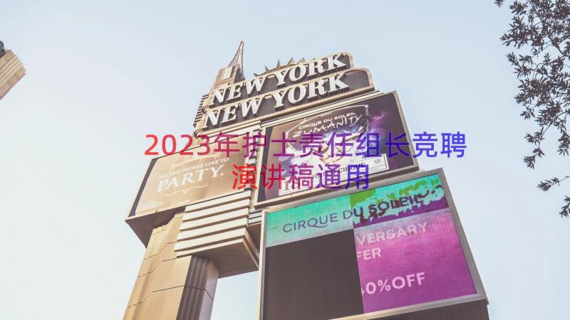 2023年护士责任组长竞聘演讲稿（通用16篇）