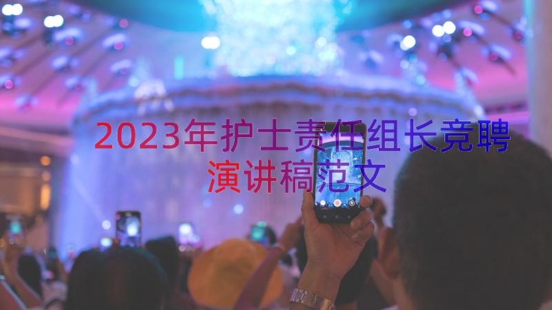 2023年护士责任组长竞聘演讲稿范文（19篇）