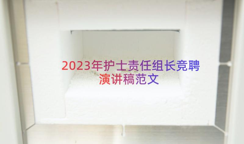2023年护士责任组长竞聘演讲稿范文（17篇）