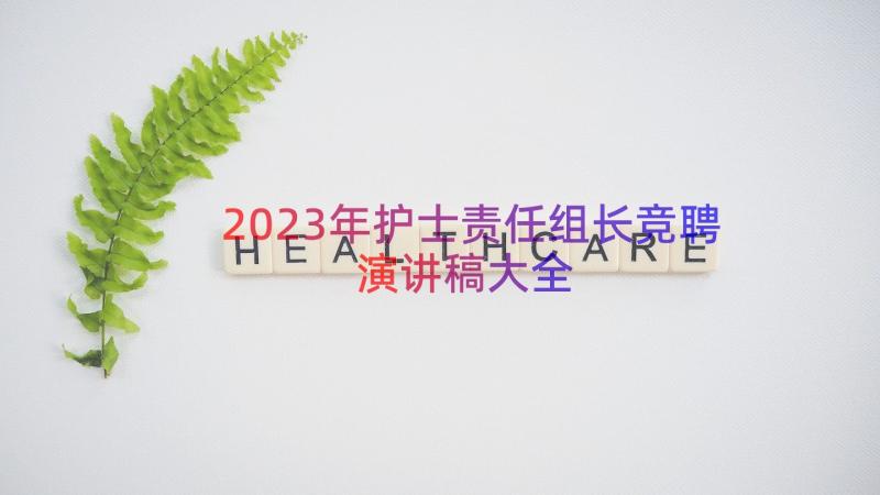 2023年护士责任组长竞聘演讲稿大全（12篇）