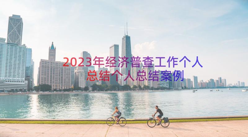 2023年经济普查工作个人总结个人总结（案例16篇）