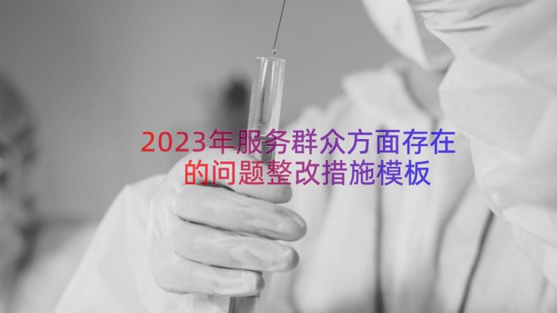 2023年服务群众方面存在的问题整改措施（模板18篇）