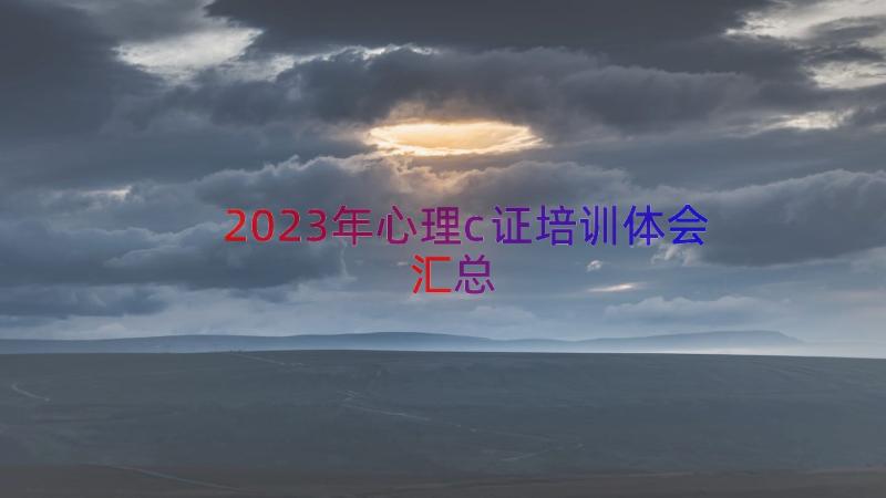 2023年心理c证培训体会（汇总16篇）