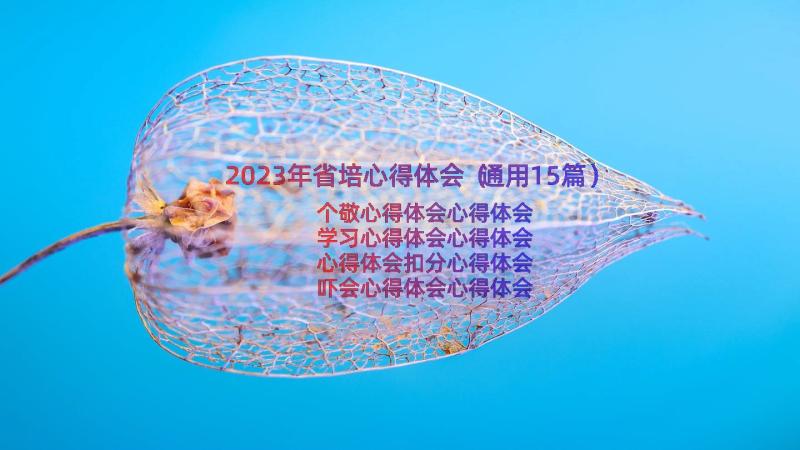 2023年省培心得体会（通用15篇）