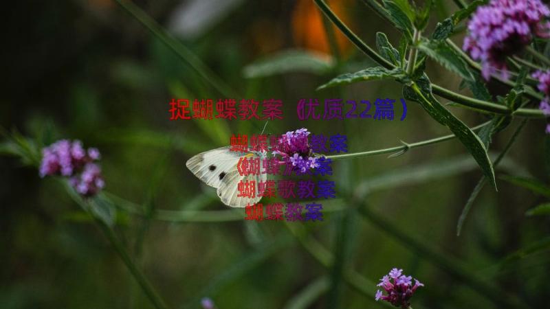 捉蝴蝶教案（优质22篇）