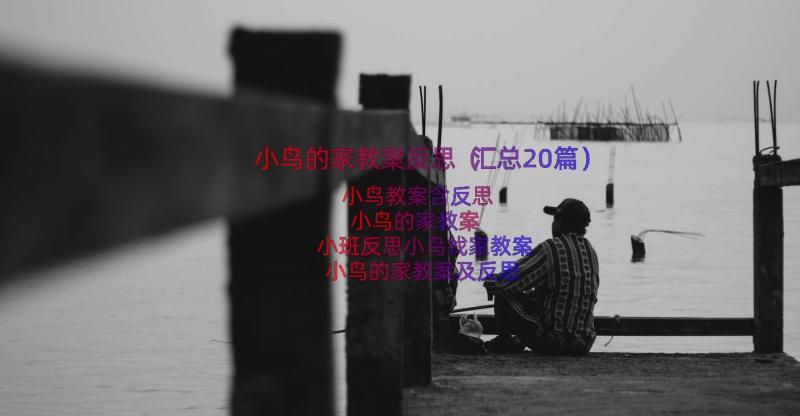 小鸟的家教案反思（汇总20篇）