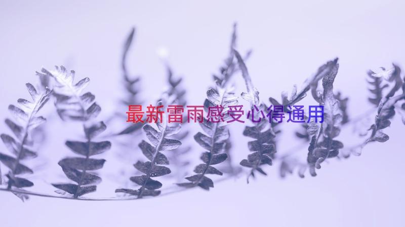 最新雷雨感受心得（通用20篇）