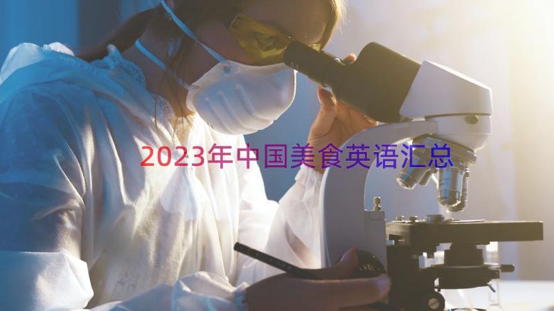 2023年中国美食英语（汇总15篇）