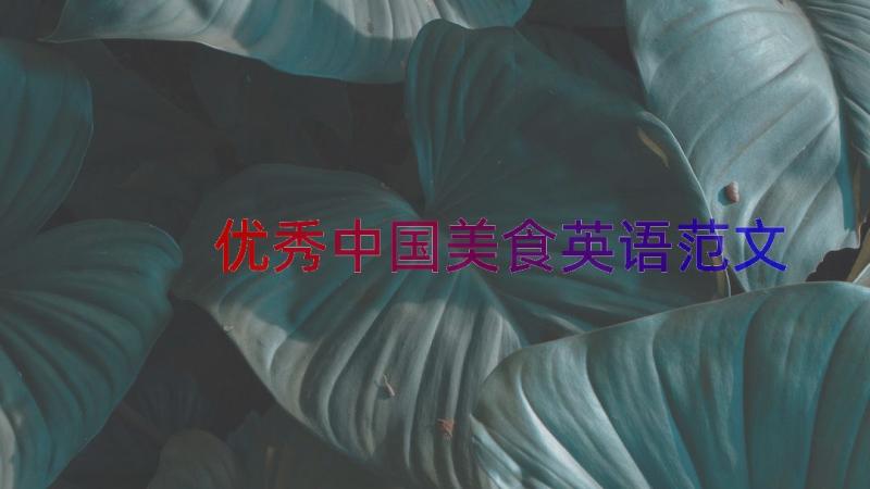 优秀中国美食英语范文（18篇）